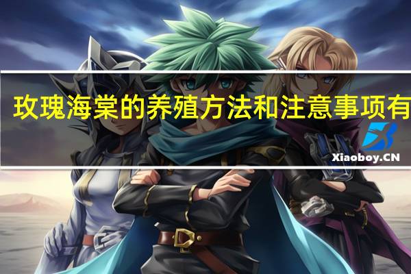 玫瑰海棠的养殖方法和注意事项有哪些