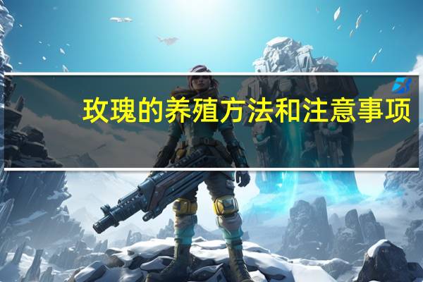 玫瑰的养殖方法和注意事项