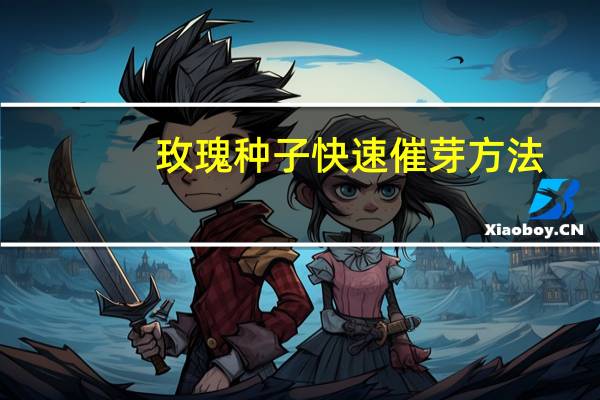 玫瑰种子快速催芽方法