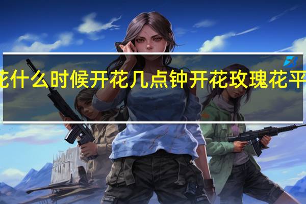 玫瑰花什么时候开花几点钟开花 玫瑰花平常几点开花