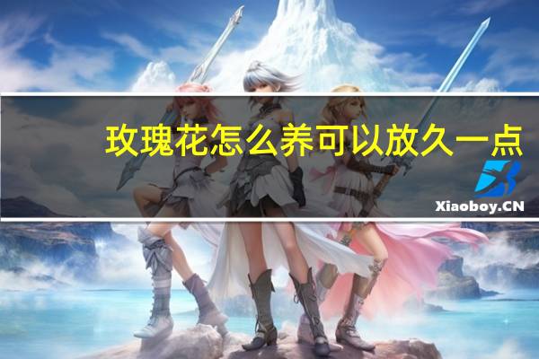 玫瑰花怎么养可以放久一点（玫瑰花怎么养久一点）