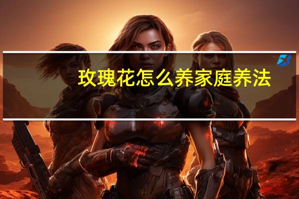 玫瑰花怎么养家庭养法