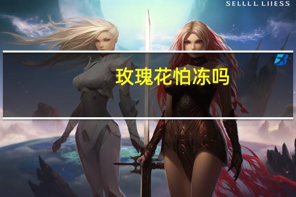 玫瑰花怕冻吗