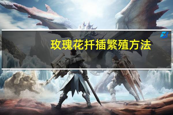 玫瑰花扦插繁殖方法