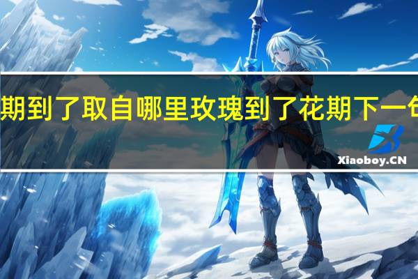 玫瑰花期到了取自哪里 玫瑰到了花期下一句是什么意思
