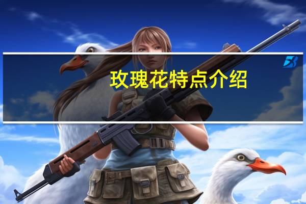 玫瑰花特点介绍