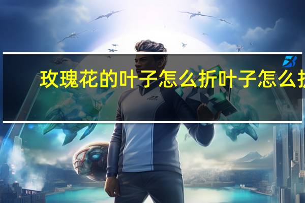 玫瑰花的叶子怎么折 叶子怎么折