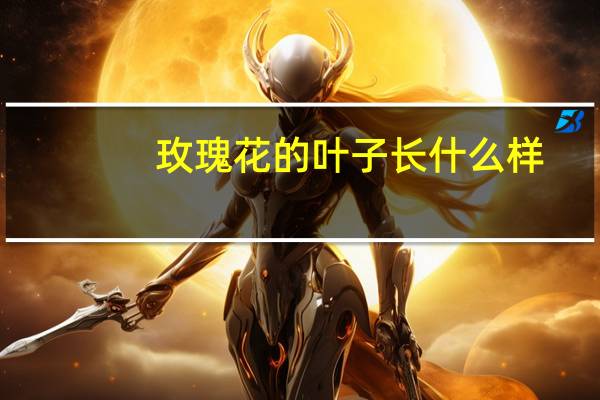 玫瑰花的叶子长什么样