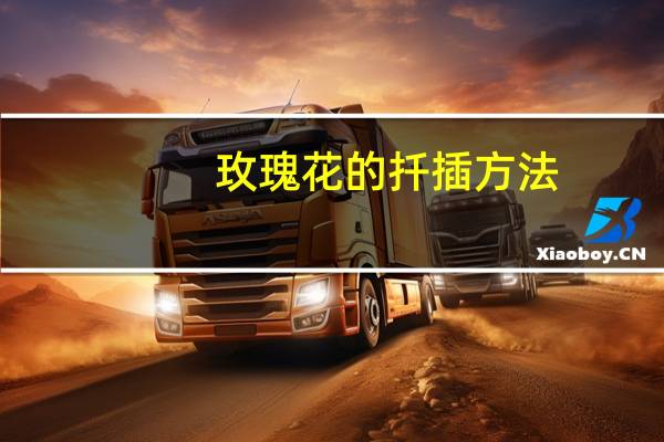 玫瑰花的扦插方法