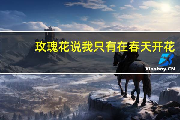 玫瑰花说我只有在春天开花（玫瑰说我只有在春天开花）