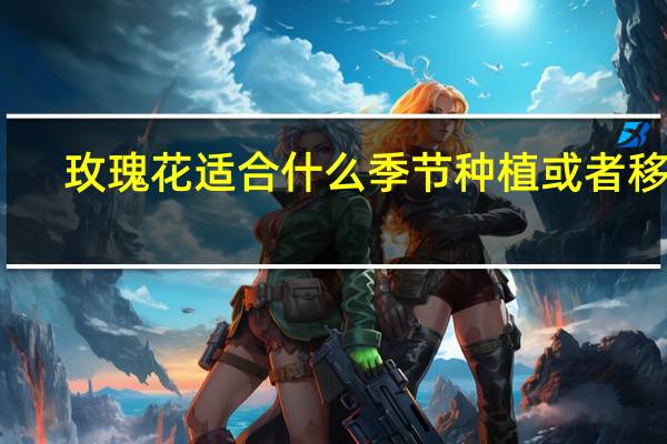 玫瑰花适合什么季节种植或者移栽