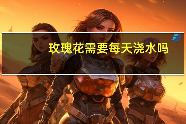 玫瑰花需要每天浇水吗