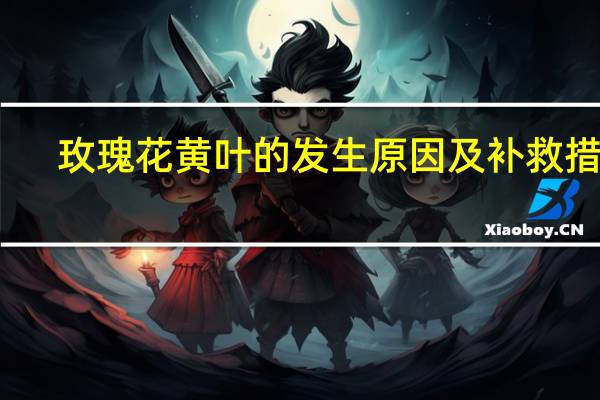 玫瑰花黄叶的发生原因及补救措施