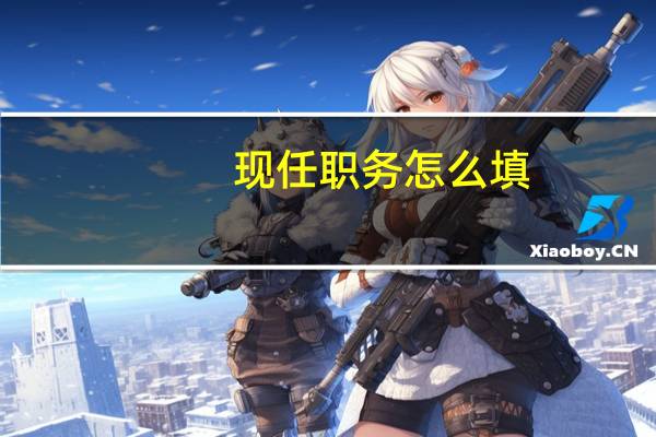 现任职务怎么填