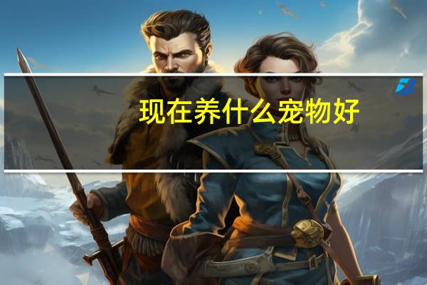 现在养什么宠物好