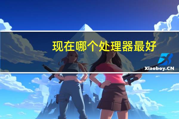 现在哪个处理器最好（什么处理器最好排名）