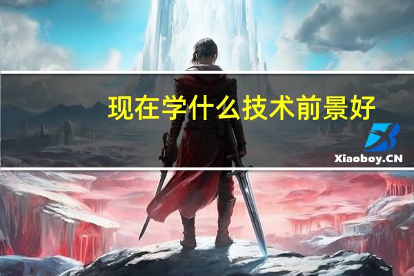 现在学什么技术前景好