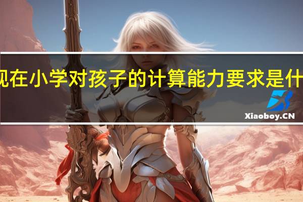 现在小学对孩子的计算能力要求是什么标准