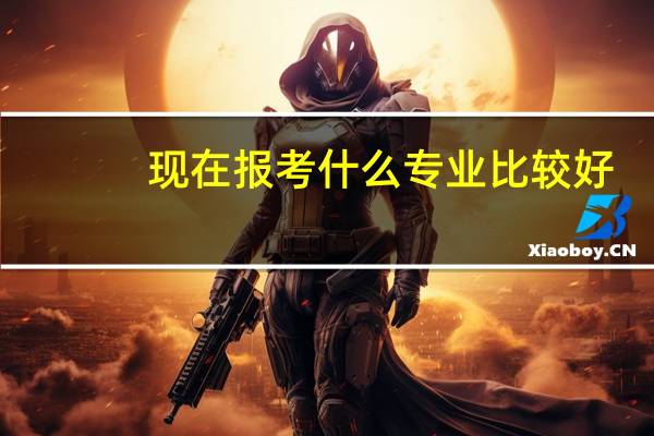 现在报考什么专业比较好