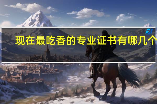 现在最吃香的专业证书有哪几个啊