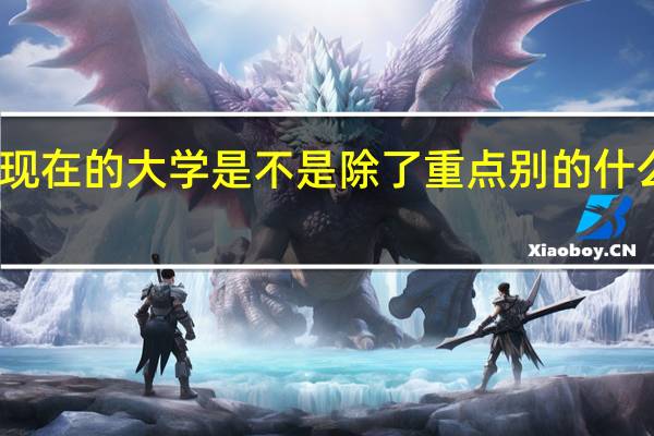 现在的大学是不是除了重点别的什么二本,三本,专科是不是其实都一样都是没扩招之前应该淘汰的那些人