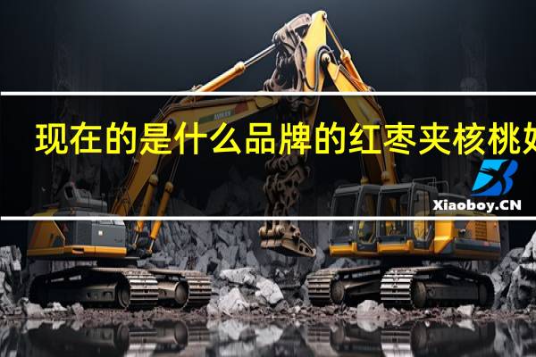 现在的是什么品牌的红枣夹核桃好吃