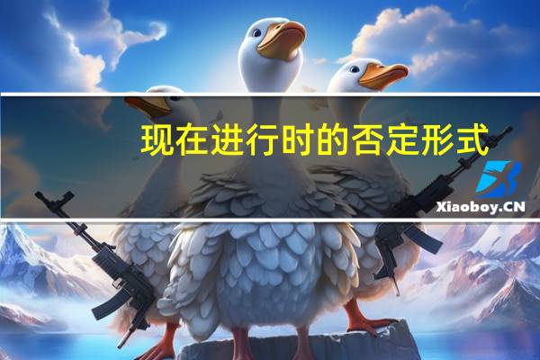 现在进行时的否定形式