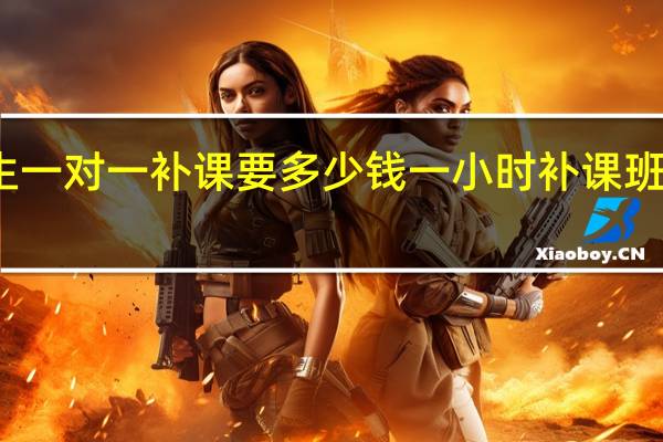 现在高中生一对一补课要多少钱一小时 补课班一对一收费多少