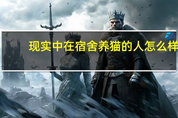 现实中在宿舍养猫的人怎么样