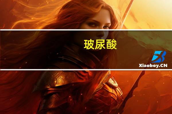 玻尿酸（关于玻尿酸的介绍）