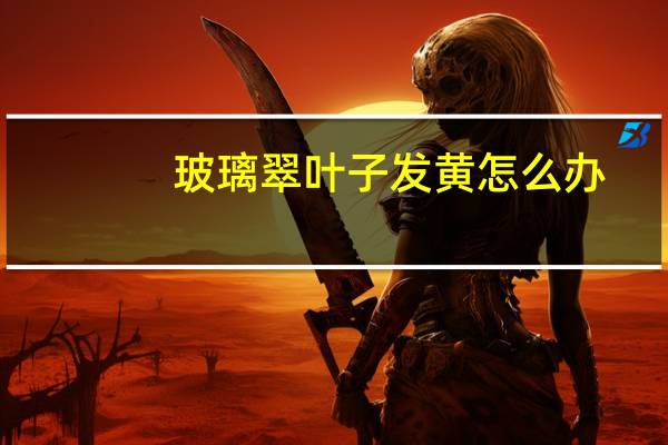 玻璃翠叶子发黄怎么办