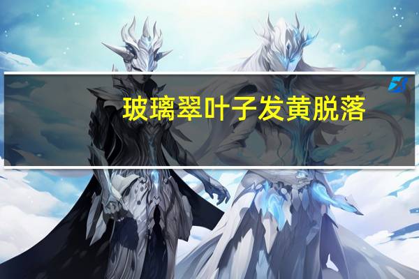 玻璃翠叶子发黄脱落