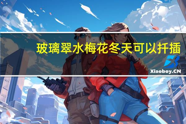 玻璃翠水梅花冬天可以扦插