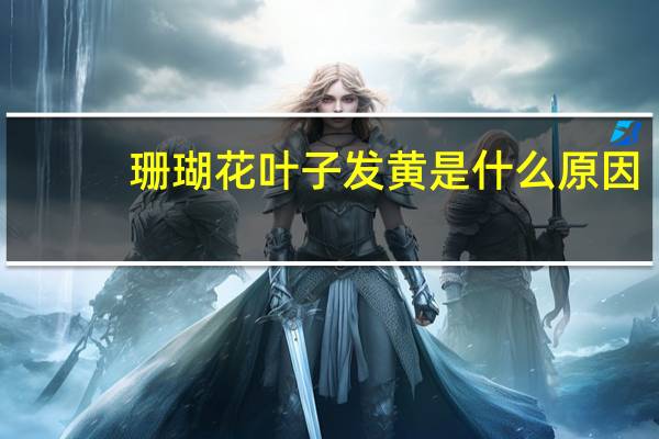 珊瑚花叶子发黄是什么原因