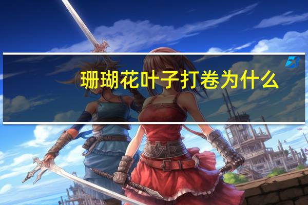 珊瑚花叶子打卷为什么?