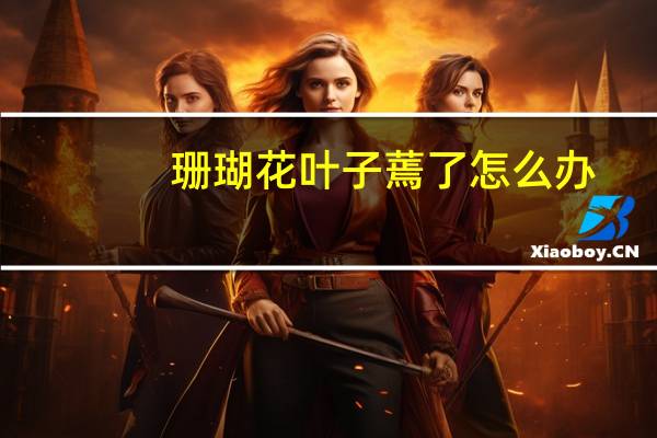 珊瑚花叶子蔫了怎么办