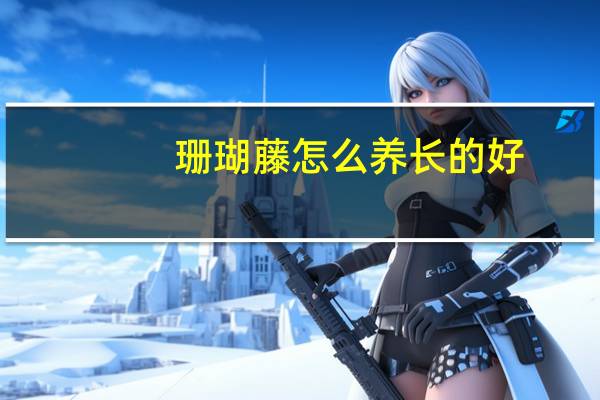 珊瑚藤怎么养长的好