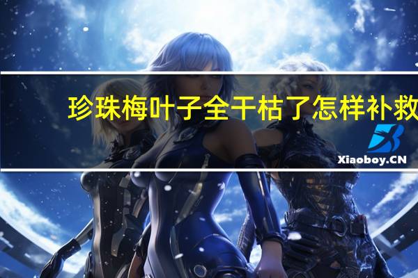 珍珠梅叶子全干枯了怎样补救
