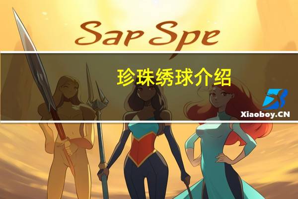 珍珠绣球介绍
