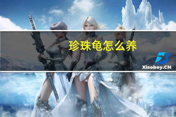 珍珠龟怎么养