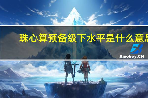 珠心算预备级下水平是什么意思