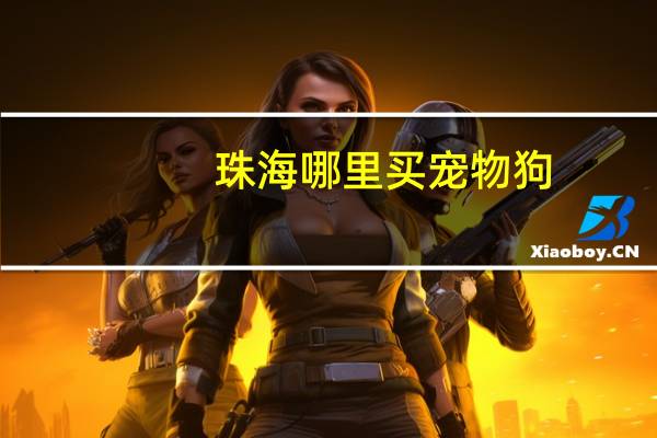 珠海哪里买宠物狗
