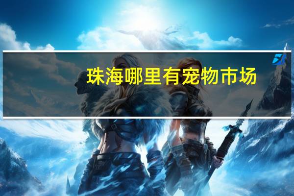 珠海哪里有宠物市场