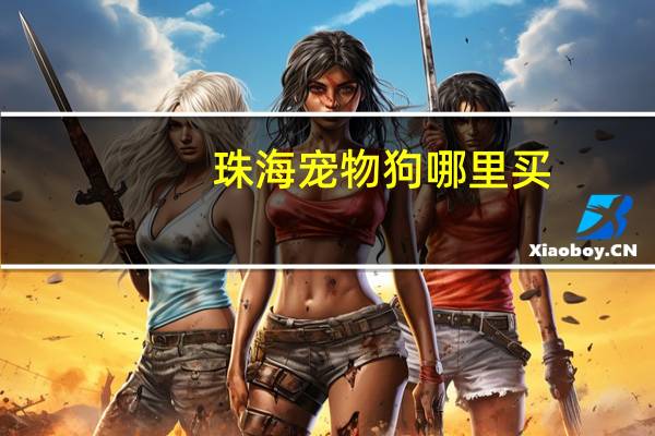 珠海宠物狗哪里买