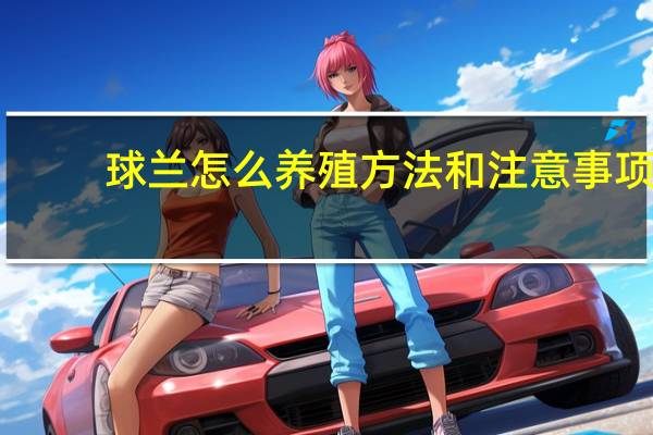 球兰怎么养殖方法和注意事项