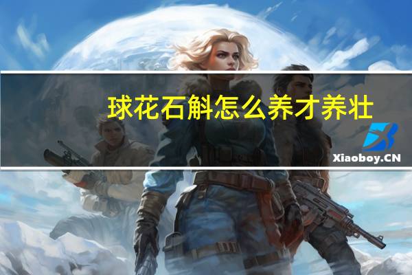 球花石斛怎么养才养壮