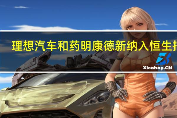 理想汽车和药明康德新纳入恒生指数