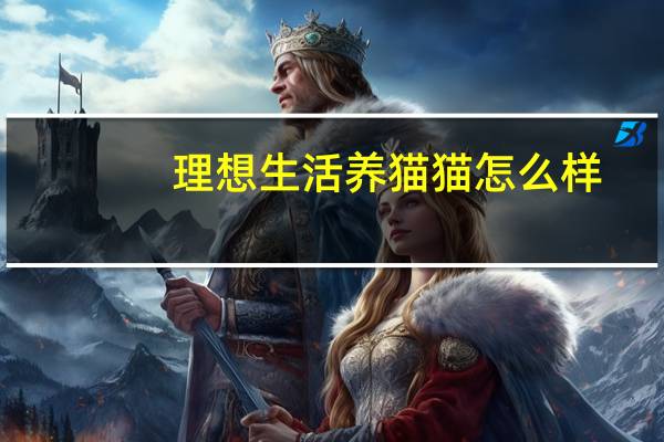 理想生活养猫猫怎么样