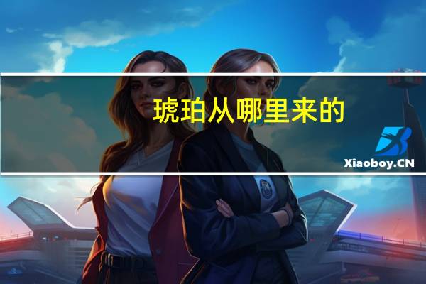 琥珀从哪里来的
