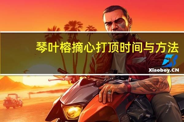 琴叶榕摘心打顶时间与方法
